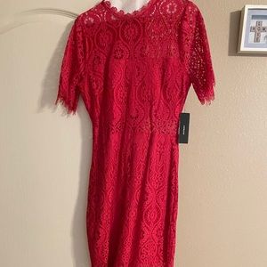 Lulus brand new lace dress